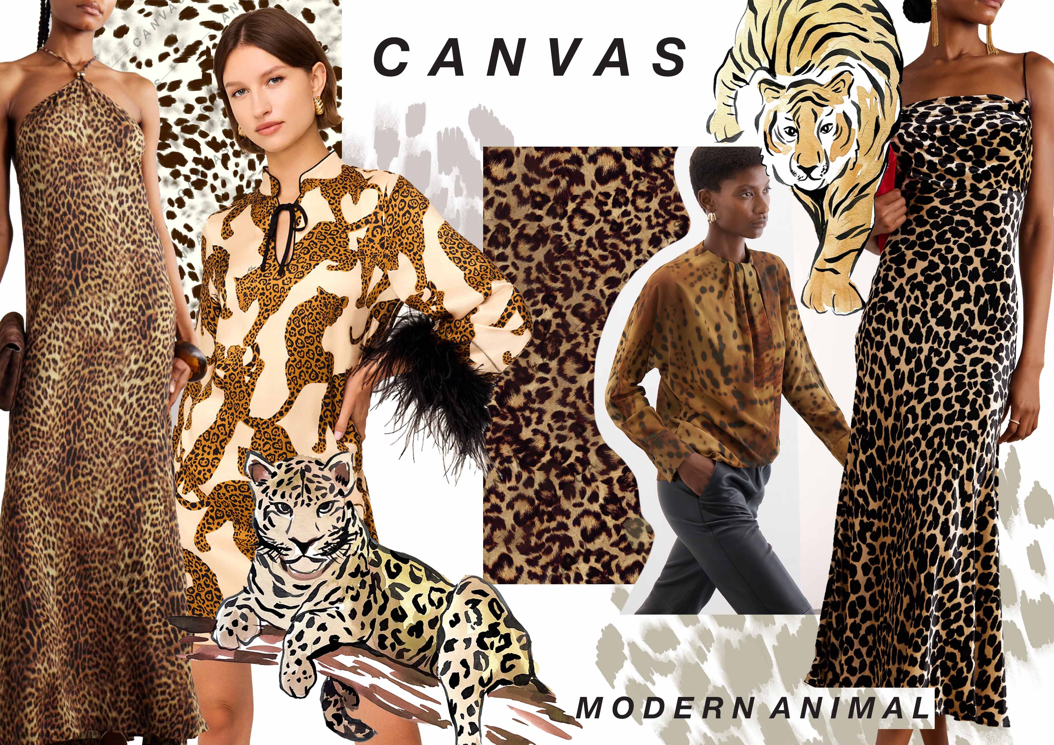 MODERN ANIMAL